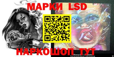 шишки Лесосибирск