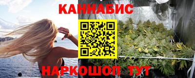 шишки Лесосибирск
