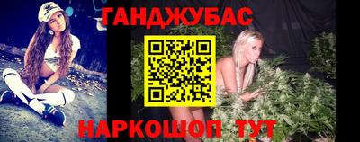 шишки Лесосибирск