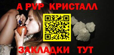 шишки Лесосибирск
